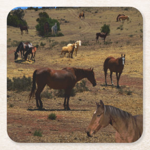 Porta-copo De Papel Quadrado Vale Dos Cavalos,