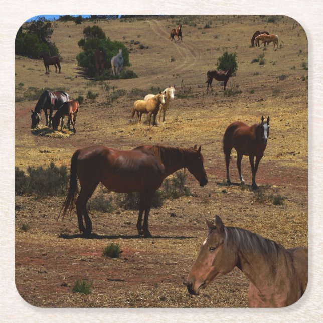 Porta-copo De Papel Quadrado Vale Dos Cavalos, (Frente)