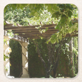 Porta-copo De Papel Quadrado Vinha de Uva Napa