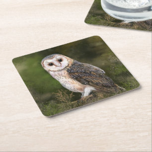 Porta-copo De Papel Quadrado Western Barn Owl - Imagem de Cores-d'Água 