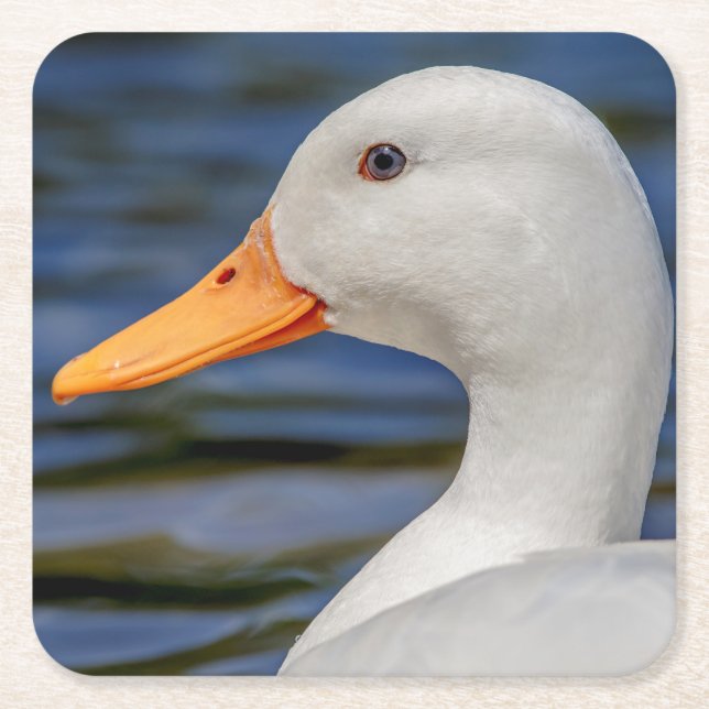 Porta-copo De Papel Quadrado White Mallard Duck (Frente)