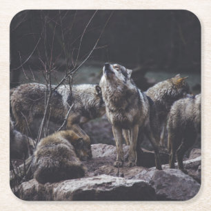 Porta-copo De Papel Quadrado Wolf Pack