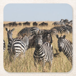 Porta-copo De Papel Quadrado Zebra-de-Grant