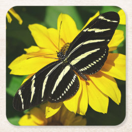 Porta-copo De Papel Quadrado Zebra Longwing