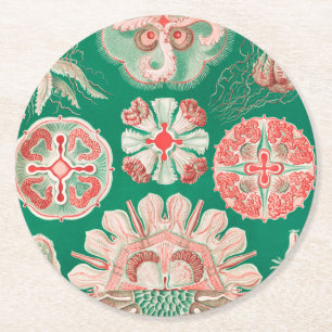 Porta-copo De Papel Redondo Água-viva, Discomedusae por Ernst Haeckel