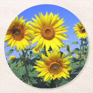 Porta-copo De Papel Redondo Amarelo Floral Girassol Flor Azul Casamento Festa
