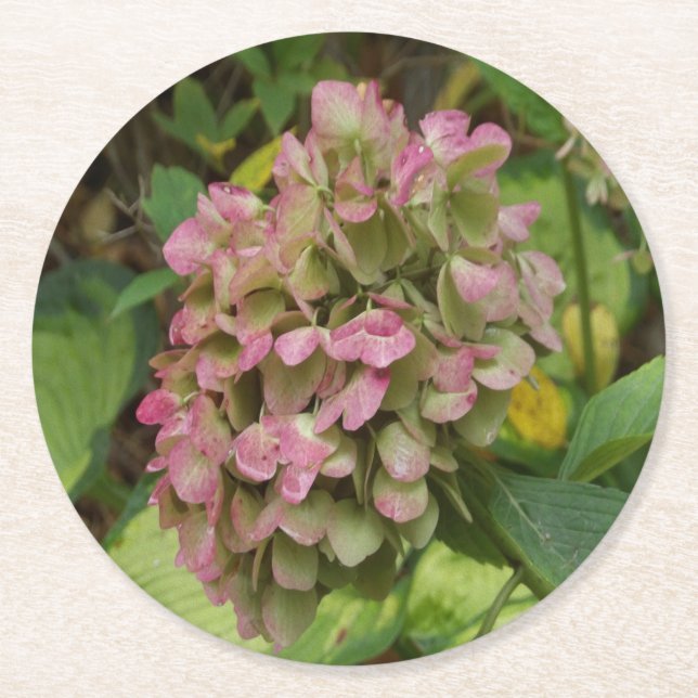 Porta-copo De Papel Redondo Autumn Hydrangea Bloom com Ouro Hosta Leaves (Frente)