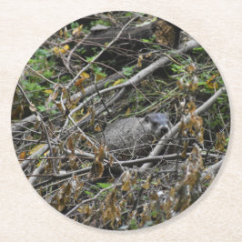 Porta-copo De Papel Redondo Beaver Ocupado