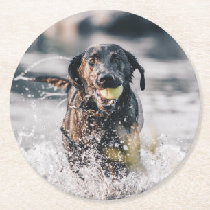 Porta-copo De Papel Redondo Black Labrador Joga Busca Na Água