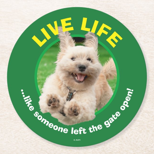 Porta-copo De Papel Redondo Cachorro Em Jarda (Frente)