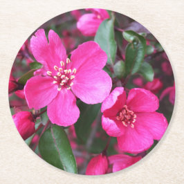 Porta-copo De Papel Redondo Caranguejo-Flor Rosa