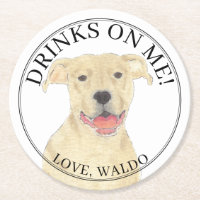 Casamento Personalizado de Fawn Tan Pitbull Staffy
