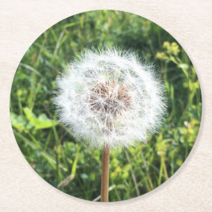 Porta-copo De Papel Redondo Conjunto de Portas copos Dandelion
