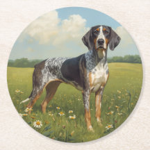Coonhound Bluetick