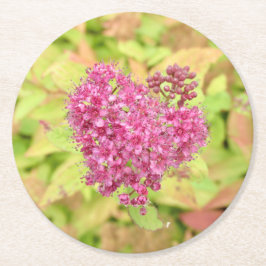 Porta-copo De Papel Redondo Coração Flor Natural - perfurado pela seta.