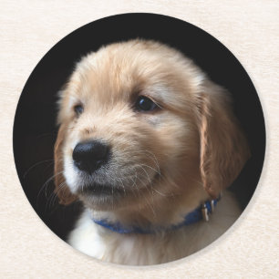 Porta-copo De Papel Redondo Cutest Baby Animals Golden Retriever Puppy