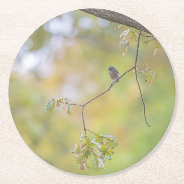 Porta-copo De Papel Redondo  design nature (Frente)