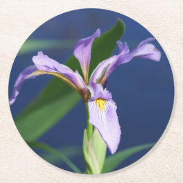 Porta-copo De Papel Redondo Embalagem Porta copos de Íris 6