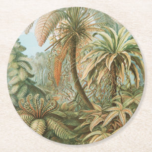 Porta-copo De Papel Redondo Ferns, Filicinae Laubfarne por Ernst Haeckel