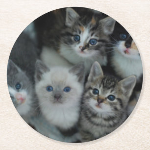 Porta-copo De Papel Redondo Gatinhos em uma cesta