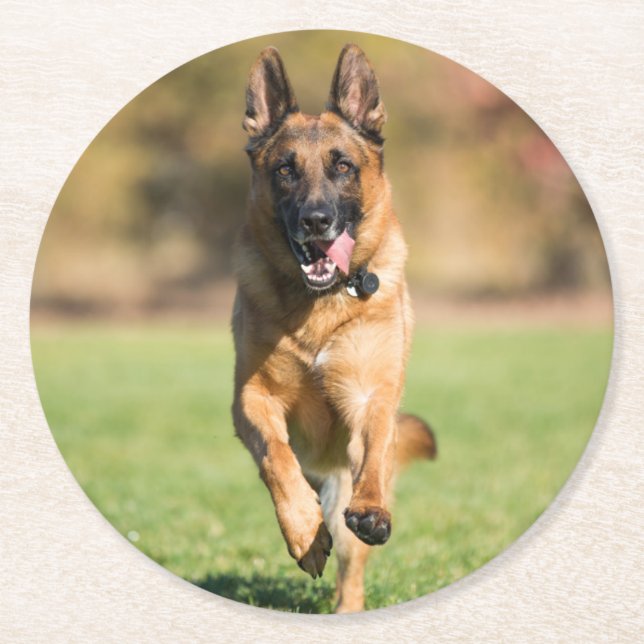 Porta-copo De Papel Redondo German shepherd em execução (Frente)