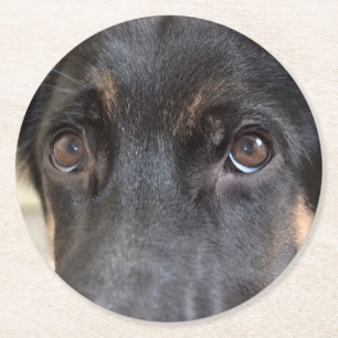 Porta-copo De Papel Redondo german shepherd por Shirley Taylor