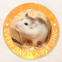 Hammyville - Hamster Cute Robo