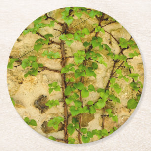 Porta-copo De Papel Redondo Hydrangea petiolaris