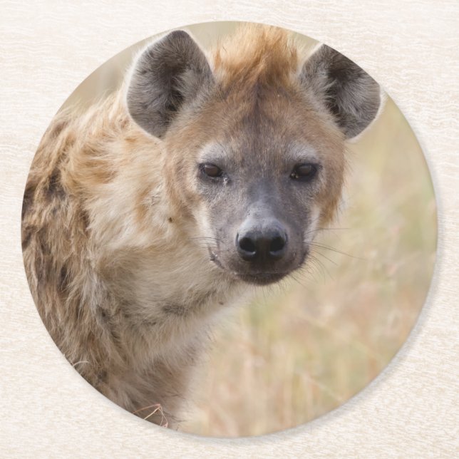Porta-copo De Papel Redondo Hyena (Frente)