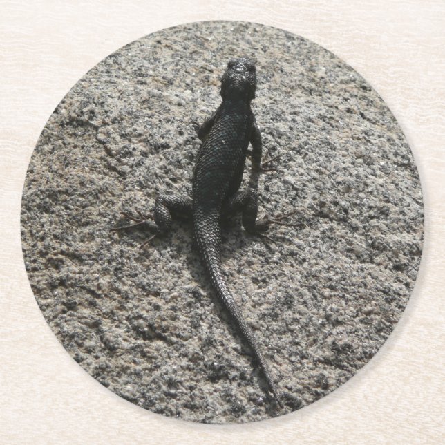 Porta-copo De Papel Redondo Lagarto Preto (Frente)