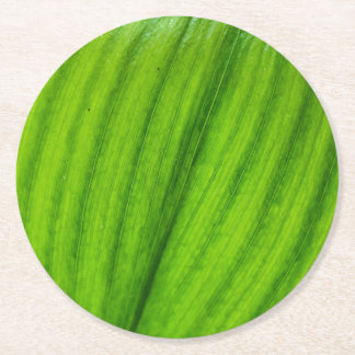 Porta-copo De Papel Redondo Lily do Vale