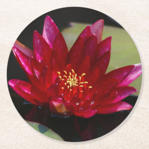 Porta-copo De Papel Redondo Lírio-d'água Magenta Lotus