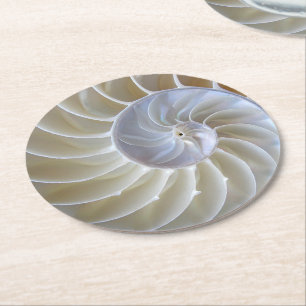 Porta-copo De Papel Redondo O mar Shell do nautilus fotografa