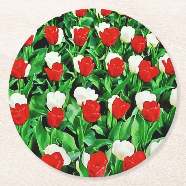 Porta-copo De Papel Redondo Paper Coaster (Frente)