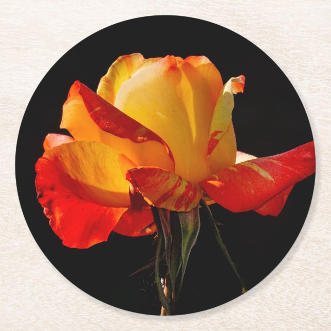 Porta-copo De Papel Redondo Peachy Orange Rosa (Frente)