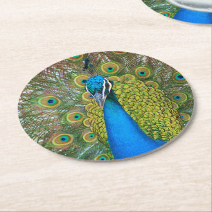 Porta-copo De Papel Redondo Peacock S9K.jpg