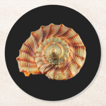 Porta copos de Shell