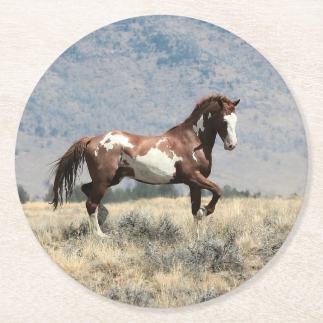 Porta-copo De Papel Redondo Porta copos Wild Stallion (Frente)
