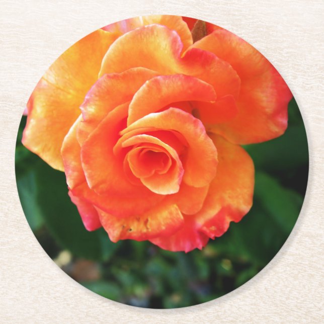Porta-copo De Papel Redondo Rosa flor de laranja (Frente)