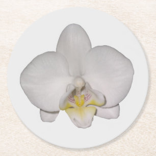 Porta-copo De Papel Redondo Suporte de Papel de Orquídea Branca