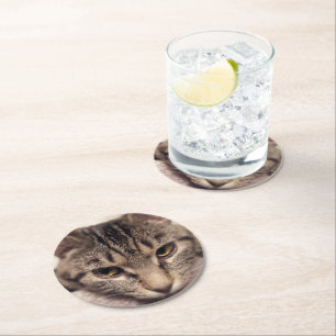 Porta-copo De Papel Redondo Tabby Cat-Instagram por Shirley Taylor