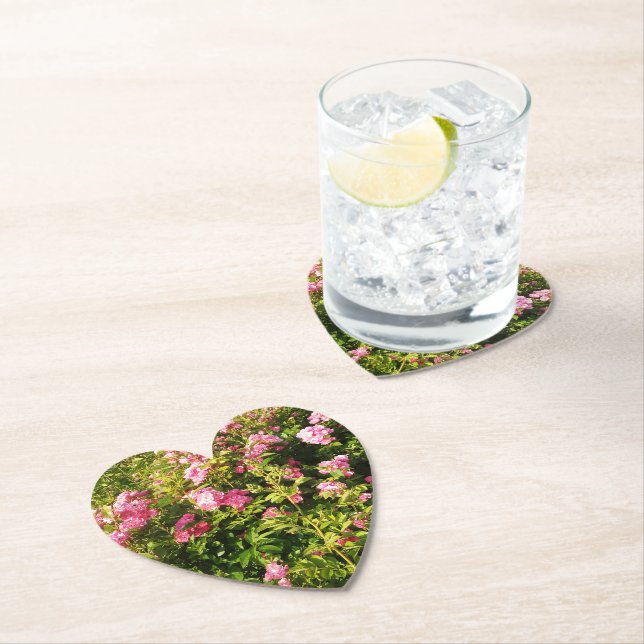 Porta-copo De Papel Rosas rosa na floração (Insitu)