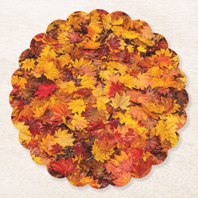 PORTA-COPO DE PAPEL SAÍDAS DO OUTONO (Frente)