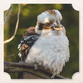 Porta-copo De Papel Soprava rindo kookaburra