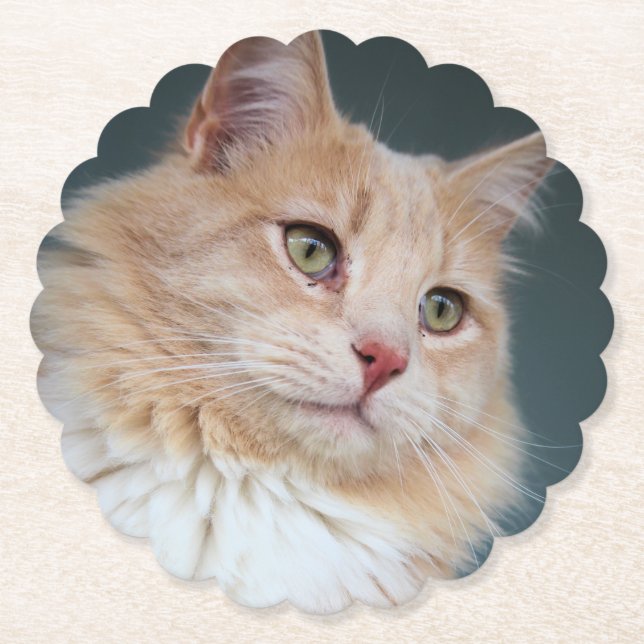 Porta-copo De Papel Sr. Handsome (Frente)