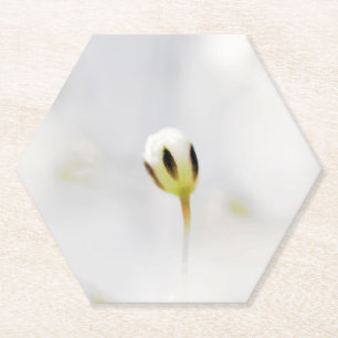 Porta-copo De Papel Suporte de Papel de Botão de Flor Branco Elegante