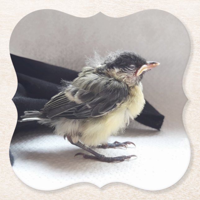 Porta-copo De Papel Tidi, meu Pássaro, o Parus Major (Frente)