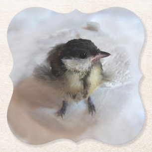 Porta-copo De Papel Tidi, meu Pássaro, o Parus Major