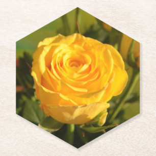 Porta-copo De Papel Tome tempo para cheirar a rosa amarela
