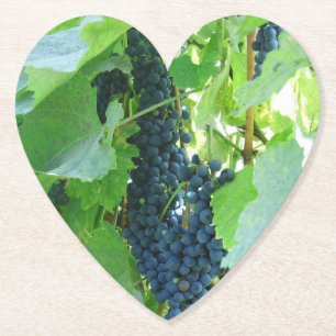 Porta-copo De Papel Uvas Azuis